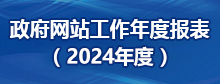 政府网站工作报表(2024年度)